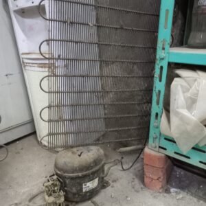 موتور زانواسي بالشبكه